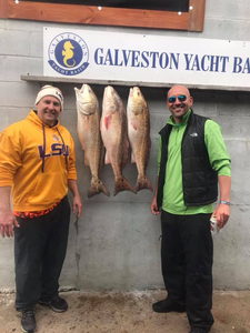 Galveston's Fin-tastic Fishing